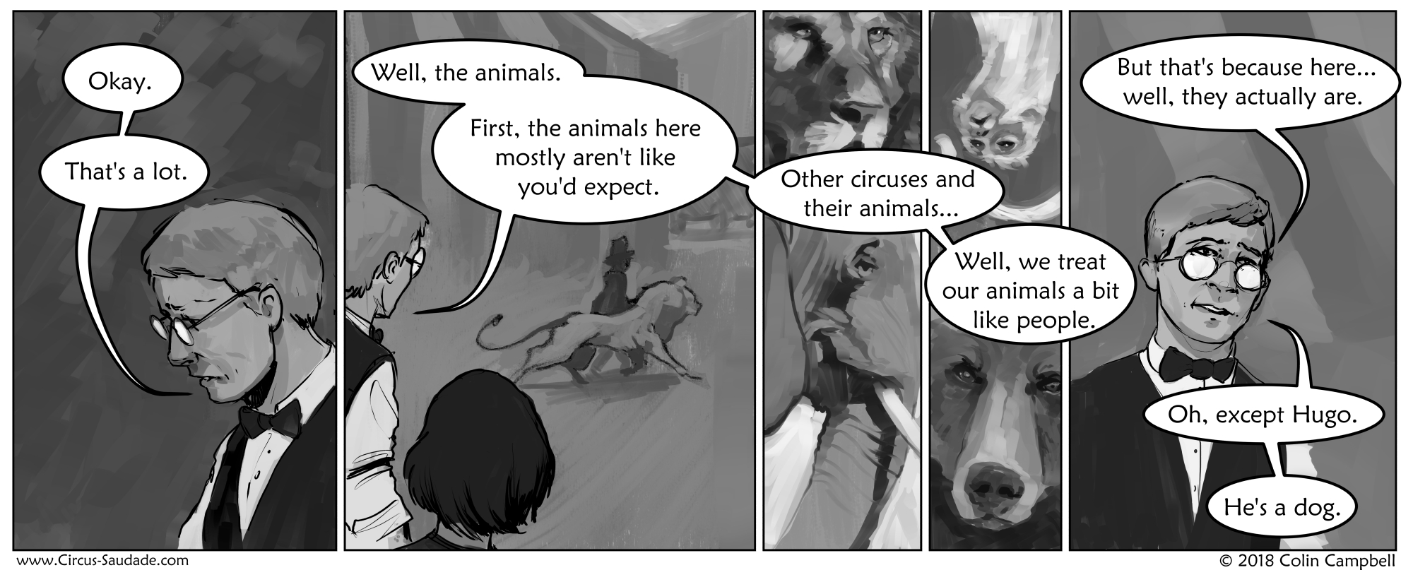 Some Thoughts on Animals